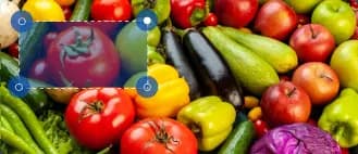 vegetable